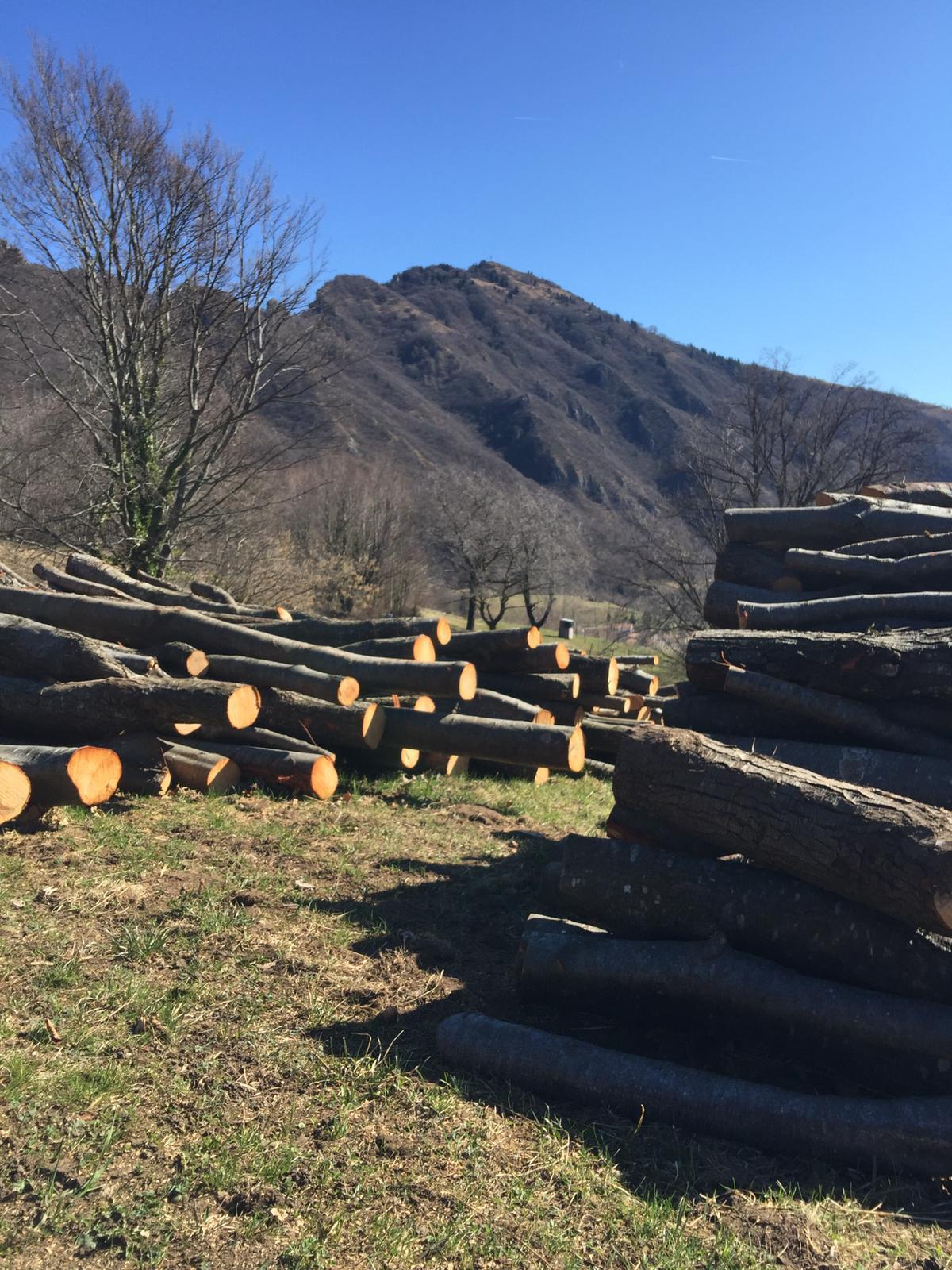 10. La mulattiera d'arroccamento Visit Schio